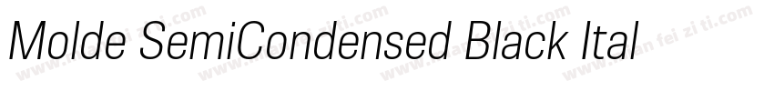 Molde SemiCondensed Black Italic字体转换